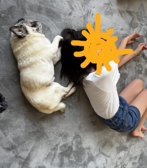 2投稿目